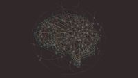 Geometric line drawing of a brain.