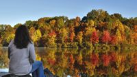 photo of a woman looking at an autumn landscape