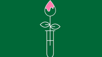 illustration of a paintbrush inside a test tube