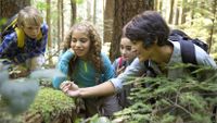 Students collaborate on an environmental project.