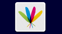 Illio of a green, blue, pink, and yellow feather arranged like a fan on a computer button icon