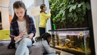 Students examine and write about an aquarium, a plant, and other things.
