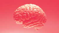 Graphic of a brain