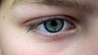 A closeup on someone's eye. Their eye is green and blue. Their eyebrows and eyelashes are dark blond.