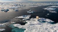 A polar bear is standing on a large area of snow above a large expanse of water.