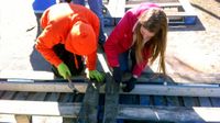 Two young students are outside, bending over planks of wood, hammering them together.