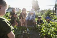 Teacher helping students plant a garden