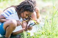 An elementary student looking at bugs with a magnifying glass in a grassy field