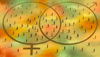 An illustration concept of gender symbols and diversity