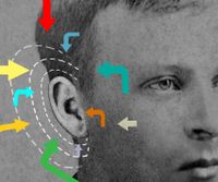 An illustration of a boy listening to conflicting directions