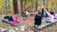 Outdoor classroom in the woods
