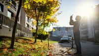 Pre teen boy taking photo of tree on street with smart phone