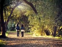 Two youngs girls walking through trees holding hands