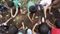 A picture of children planting vegetables in a garden.
