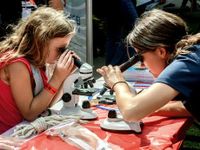 Two girls across from each other at a table looking through microscopes