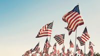 Over 100 United States flags are raised in the air with a handful of other country flags lost in the background.