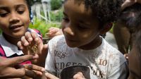 Elementary students examine a butterfly outdoors