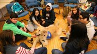 High school students gather around a therapy dog. 