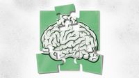 Brain puzzle