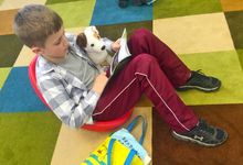 Student reading a book in a flexible seating environment
