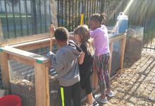 Students mixing compost in a garden