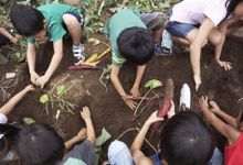 A picture of children planting vegetables in a garden.