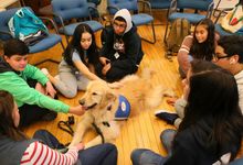 High school students gather around a therapy dog. 