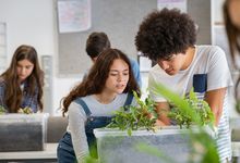 High school students work with plants in science class.