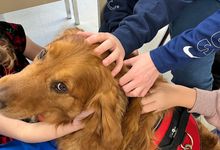 Therapy dog in classroom