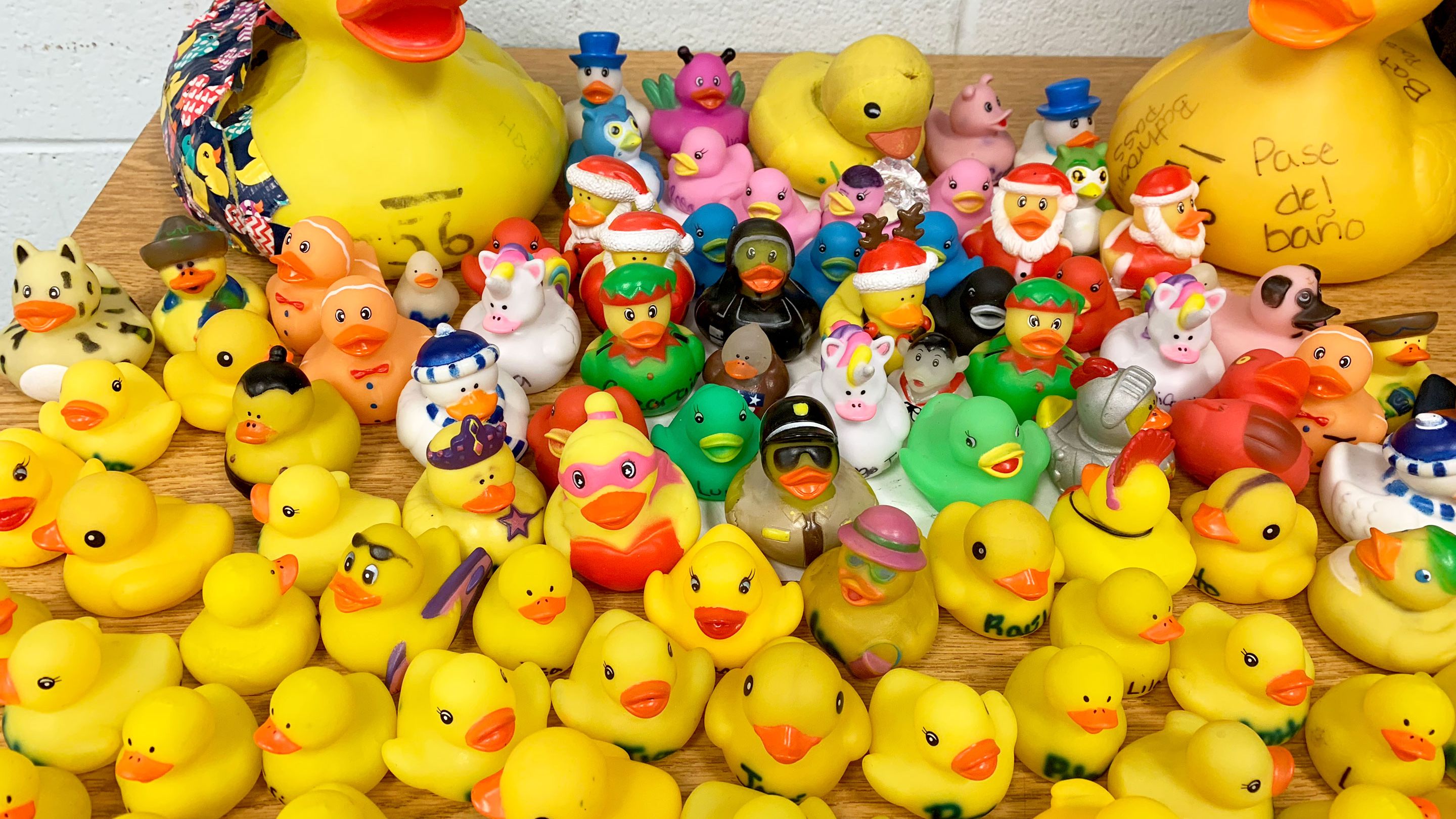 lot of rubber ducks