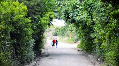 Alternate Education for Rural Development: A Practical, Successful Solution