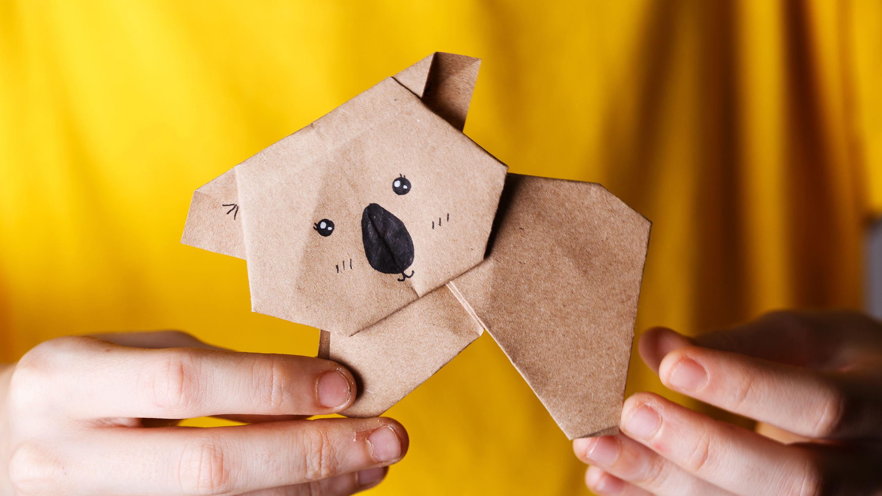 Using Origami to Teach Elementary Students About Endangered Animals