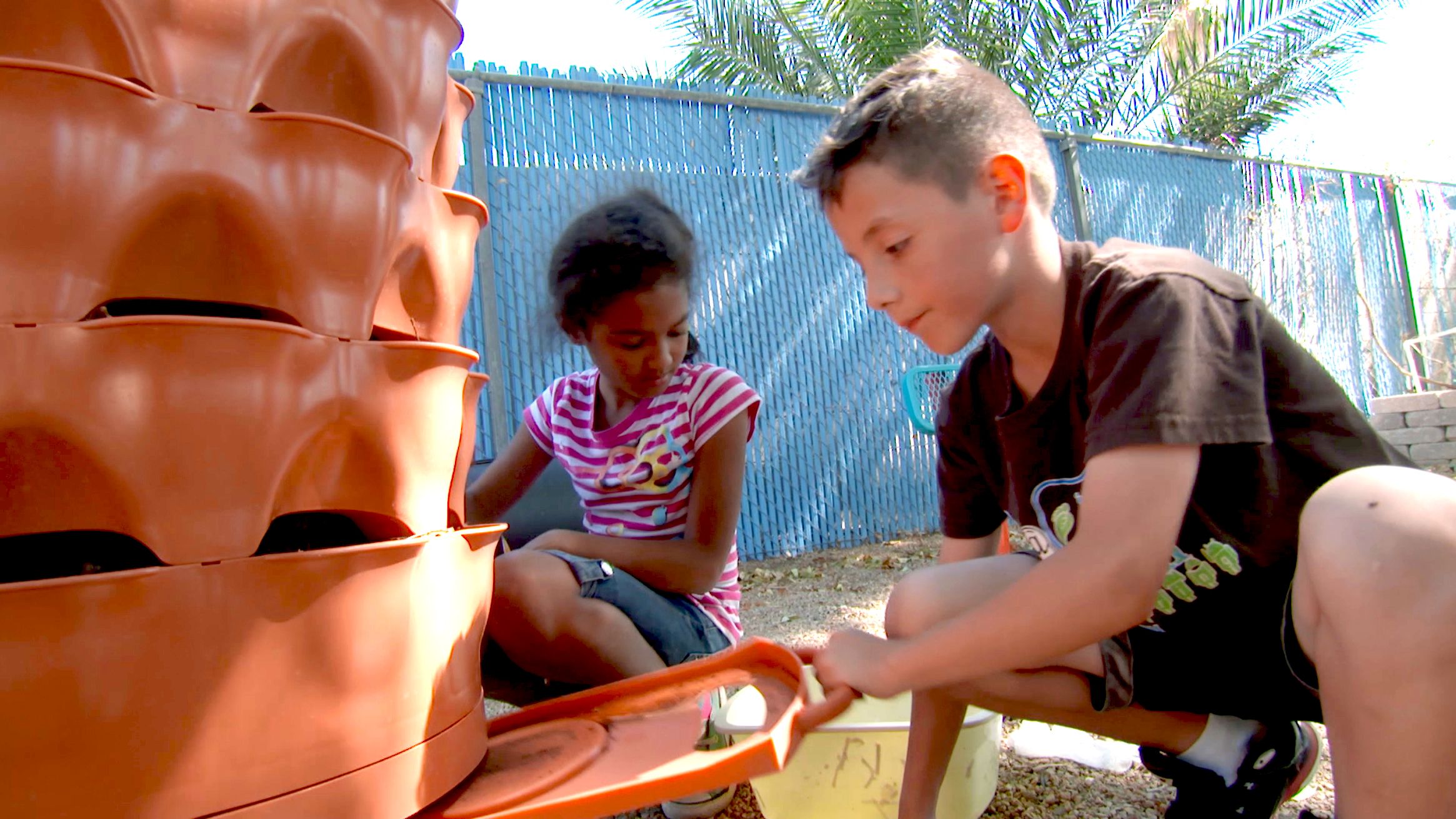 Students Are Planting In The School Backyard Students Are Planting In The School Backyard