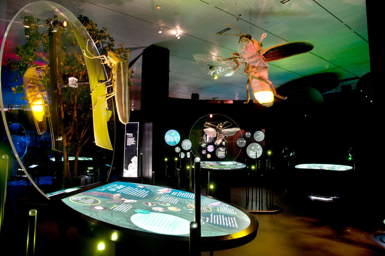 The “Creatures of Light” exhibit uses interactive displays to help students understand bioluminescence. The school employs a curriculum integration specialist who helps museum staff and teachers incorporate exhibits into classroom lessons.