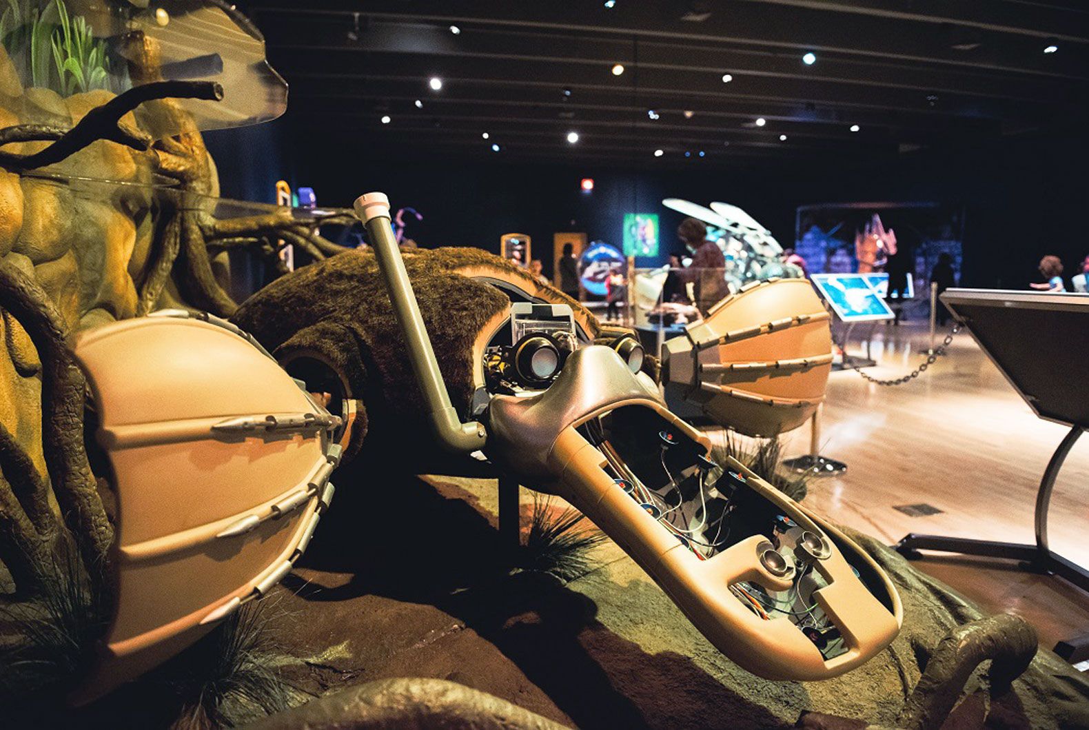 A recent exhibit on biomechanics called “The Robot Zoo” featured eight robot animals—like this platypus—that illustrate real-life characteristics of the creatures.