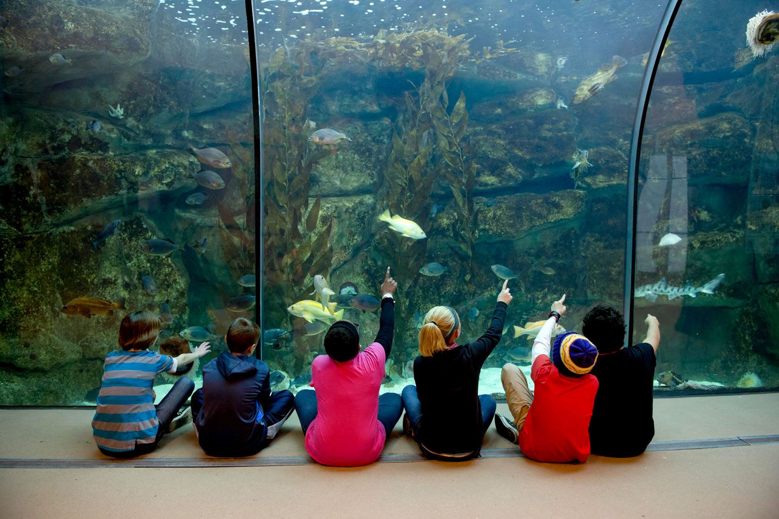 The Zoo School, located in the John Ball Zoological Garden, is another of the district’s 15 theme and partnership schools. The school is ranked in the top 5 percent in the state and has been named one of the top 25 “Coolest Schools in America” by “Parent and Child” magazine.