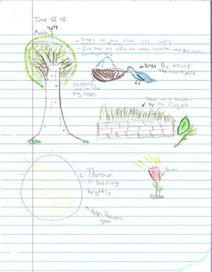 Nature drawing by the author's student. Drawing is of a tree, bird, flower, sun, and bushes.
