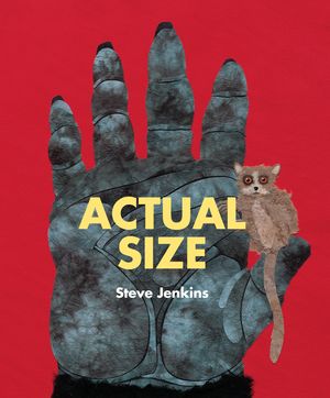 Actual Size book cover artwork