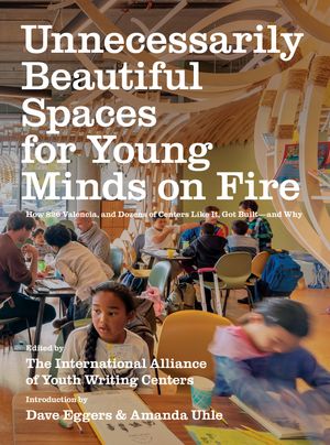 Unnecessarily Beautiful Spaces for Young Minds on Fire book cover art