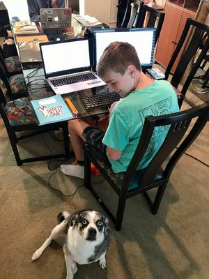 A student sits with his dog during remote learning.