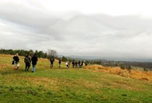 Students walking in a big meadow area