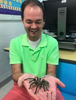 Classroom pet tarantula