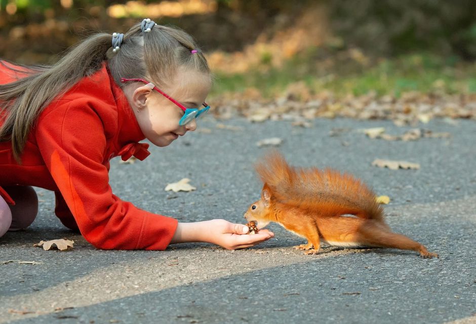 K-2 Primary | Edutopia